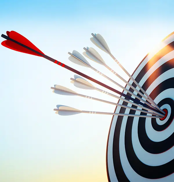 Home Arrows on Target